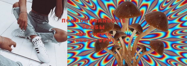 прущая мука Мегион