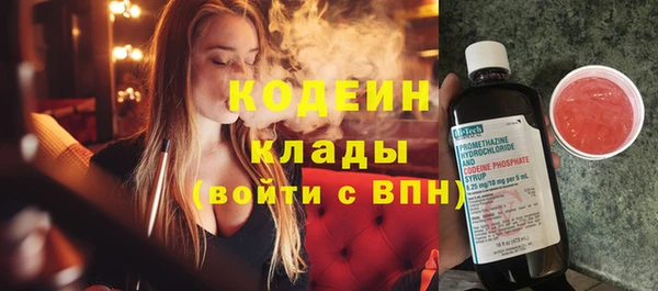 крисы Абаза