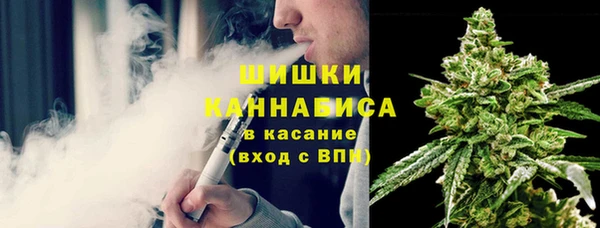крисы Абаза